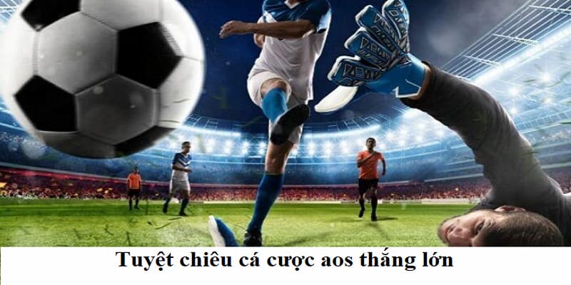 Tuyệt chiêu thắng lớn của tay chơi lão làng
